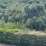 Nyaraló Agavi Formia