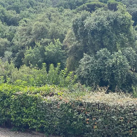 Casa vacanze Agavi Formia