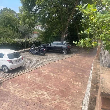 Agavi Formia