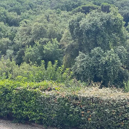 Agavi Casa vacanze Formia
