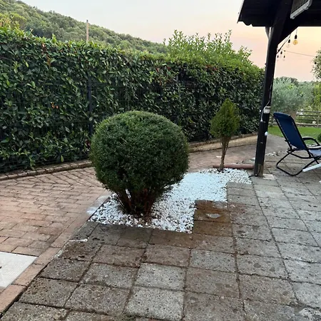 Agavi